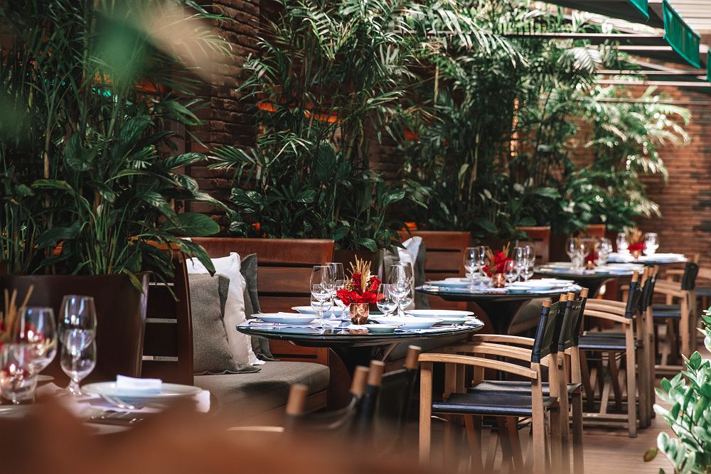 Fasano Rio de Janeiro - Diapo - Brésil 