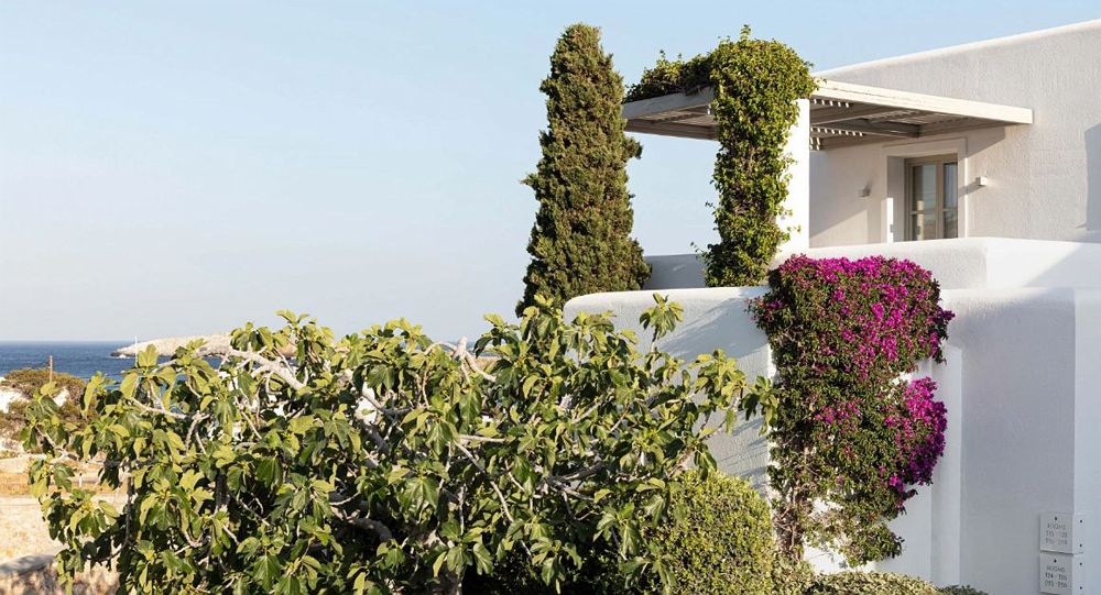 Anemi Hotel & Spa - Diapo - Grèce 