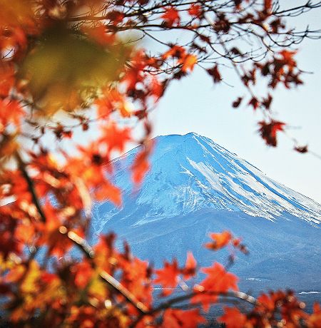 Vue du Mont Fuji à Fujikawaguchiko - Japon