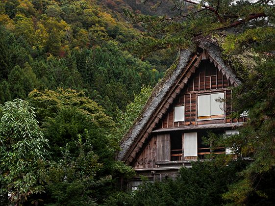 Maison en toît de chaume des villages de Shirakawago et Gokayama - Japon