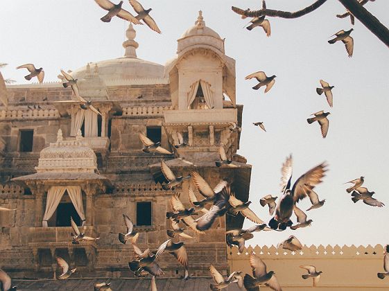 Le City Palace à Udaipur - Inde