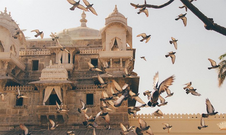 Le City Palace à Udaipur - Inde
