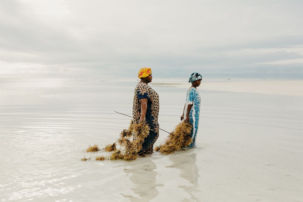 LUX* Marijani - Femmes qui cultivent les algues