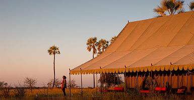 Jack's Camp - Natural Selection