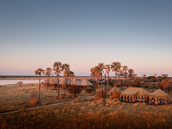 Jack's Camp - Natural Selection