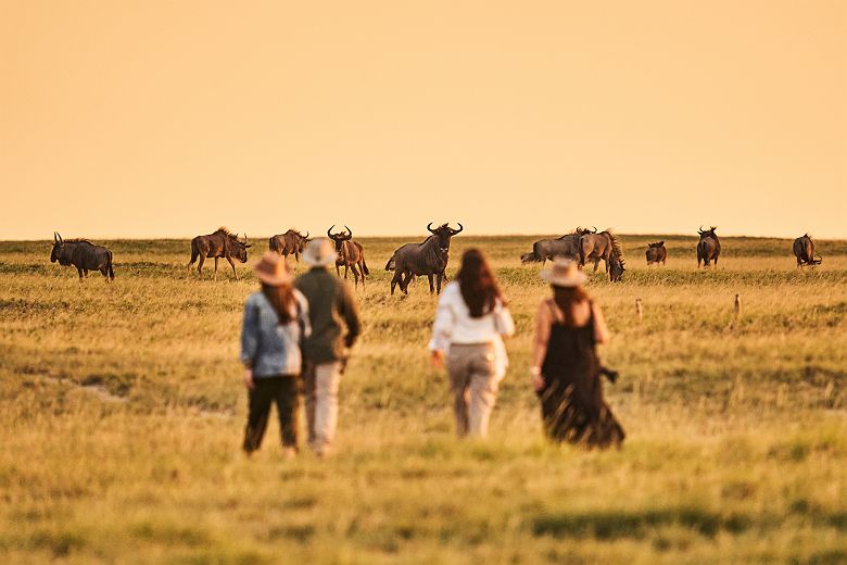 Expérience depuis Jack's Private Camp - Natural Selection