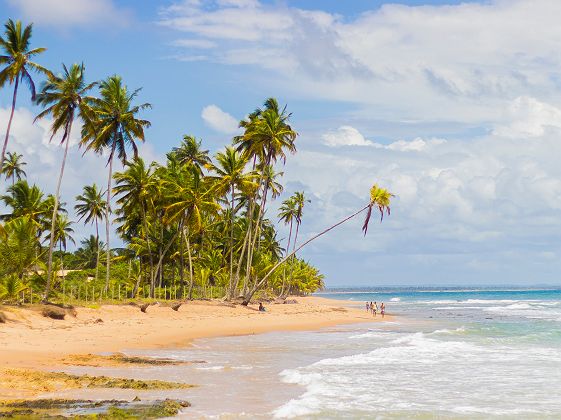 Barra Grande - Brésil
