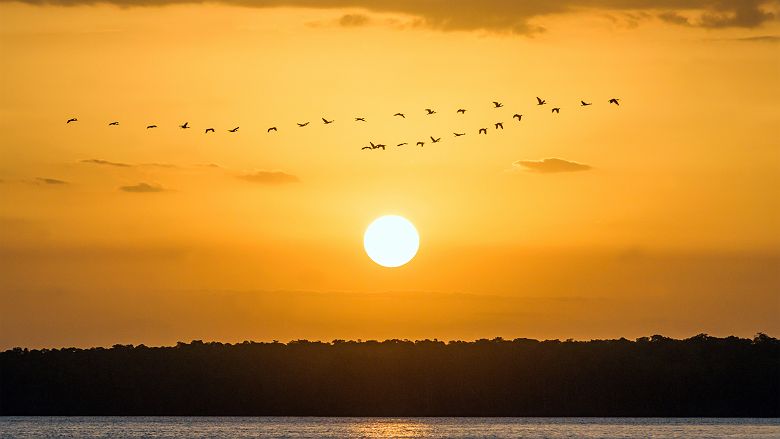 Parnaiba - Nature - Brésil