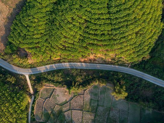 Champs et rizières à Udon Thani - Thaïlande