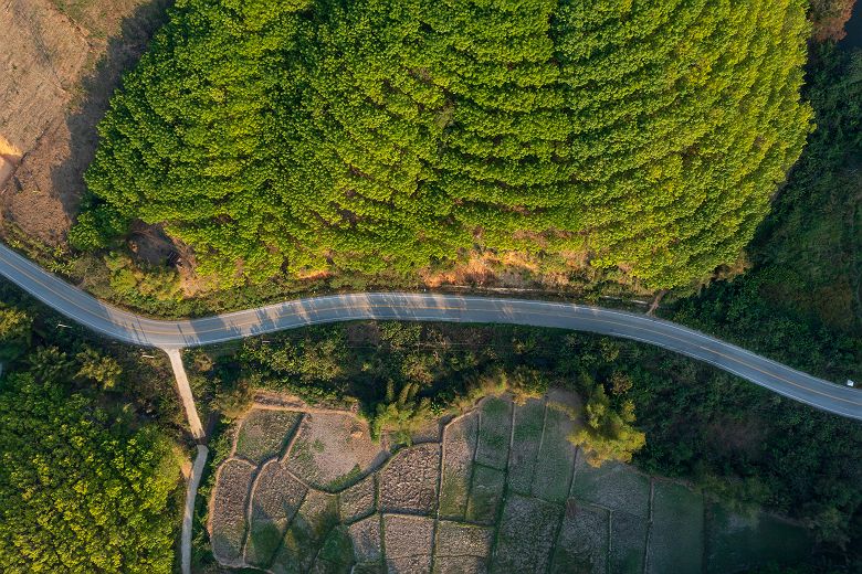 Champs et rizières à Udon Thani - Thaïlande