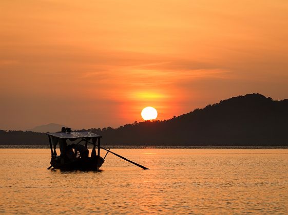 Mangrove au lever du soleil - Koh Lanta - Thaïlande