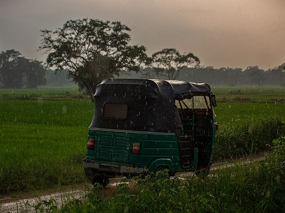 Tuk-tuk sur une route de campgane au Sri Lanka