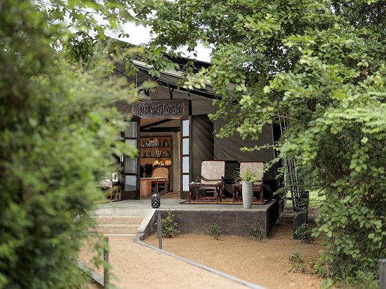 Suite Tent - Leopard Trails Wilpattu - Sri Lanka