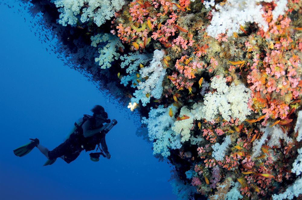 Four Seasons Desroches - Seychelles