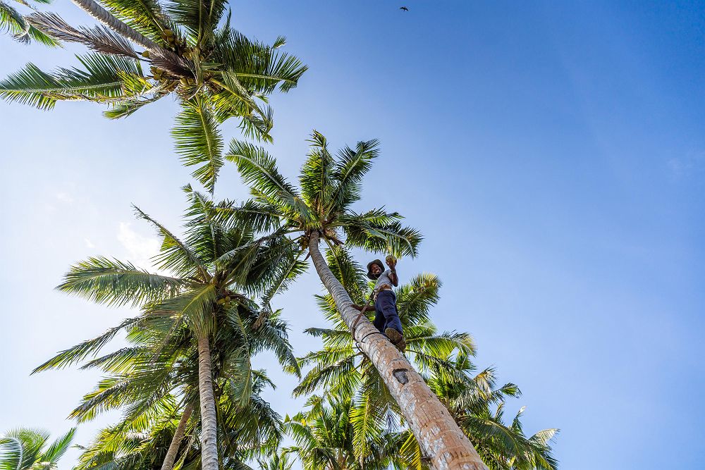 Waldorf Astoria Seychelles - Diapo - Seychelles 
