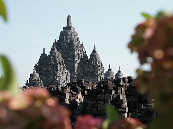 Une vue du temple Sewu à Prambanan - Java, Indonésie