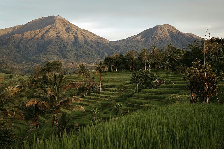 Rizières en terrasses avec vue sur les montagnes à Bali - Indonésie