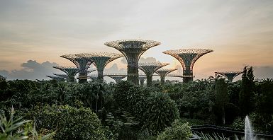 Singapour - Gardens by the Bay