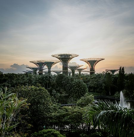 Singapour - Gardens by the Bay
