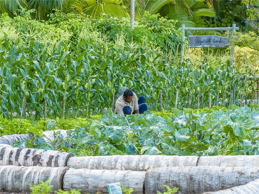 Alphonse Island Resort - Diapo - Seychelles