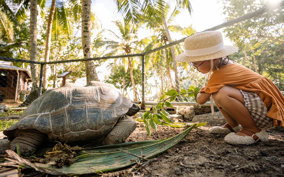 Kempinski Seychelles Resort - En famille - Seychelles