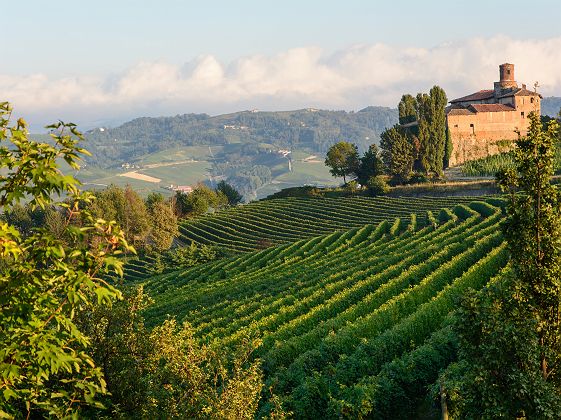 Vignoble Barolo dans la région des Langhe - Italie