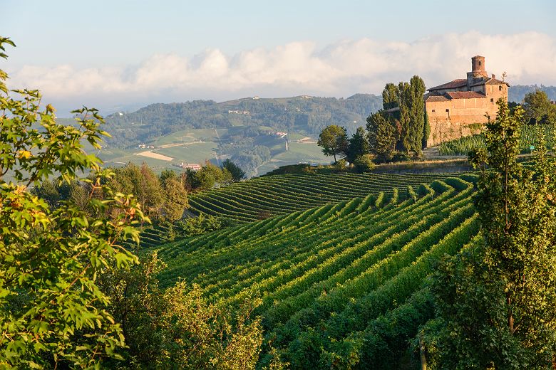 Vignoble Barolo dans la région des Langhe - Italie