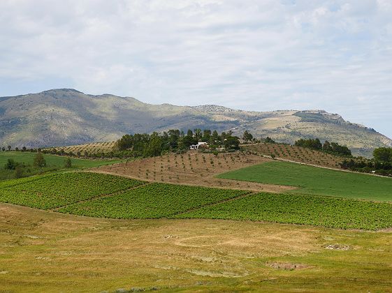 terres agricoles sicile