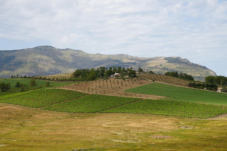 terres agricoles sicile