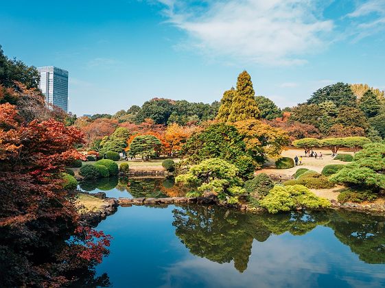 Shinjuku Gyoen - Tokyo - Japon