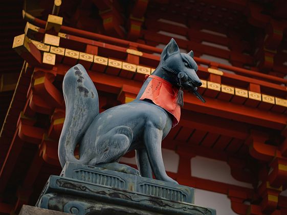 Gardien d’Inari devant les torii - Kyoto - Japon