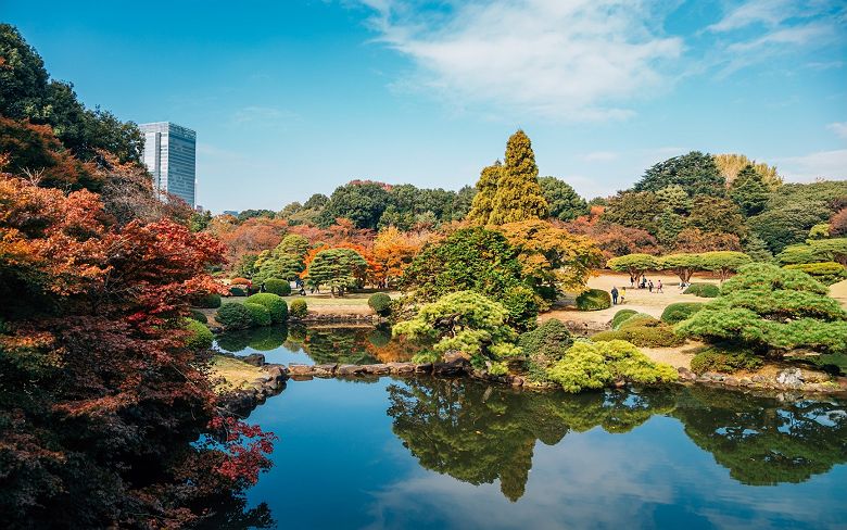 Shinjuku Gyoen - Tokyo - Japon