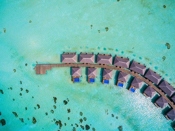 Lagoon Suite avec Piscine - Cocoon Maldives