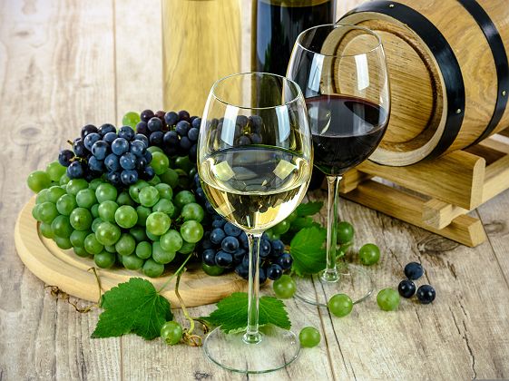 Vins et verres a vin pour dégustation