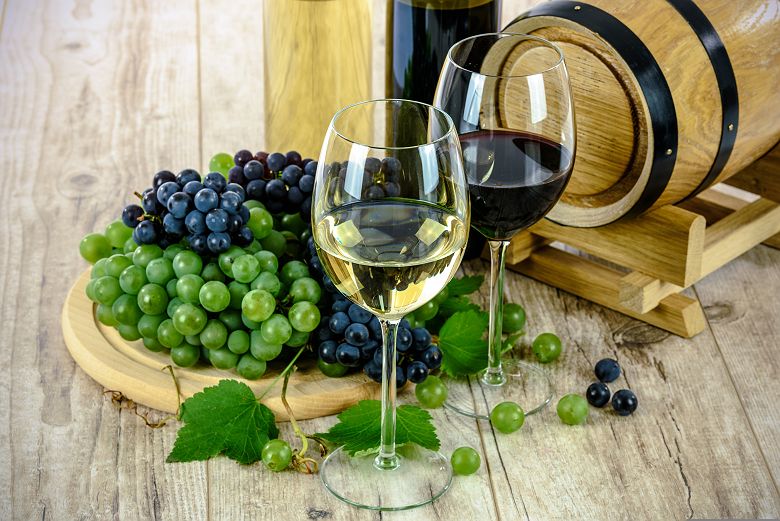 Vins et verres a vin pour dégustation