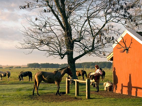 Estancia La Bamba - Argentine