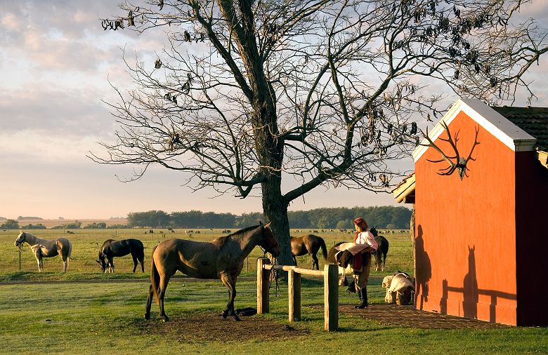 Estancia La Bamba - Argentine