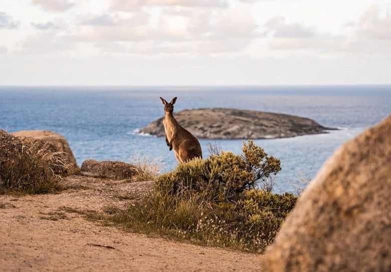 Kangaroo Island / Australie