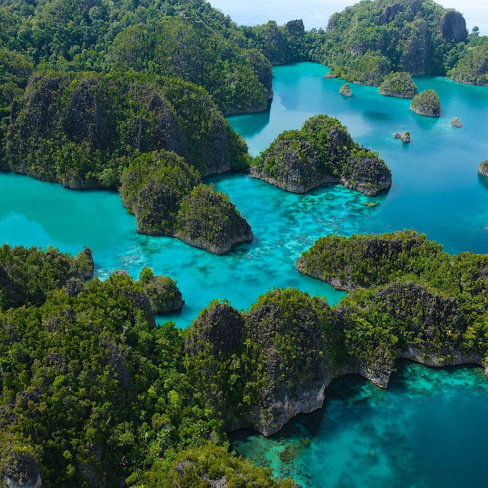 Raja Ampat, vue aérienne, îlot, barrière de corail, eau turquoise, Indonésie