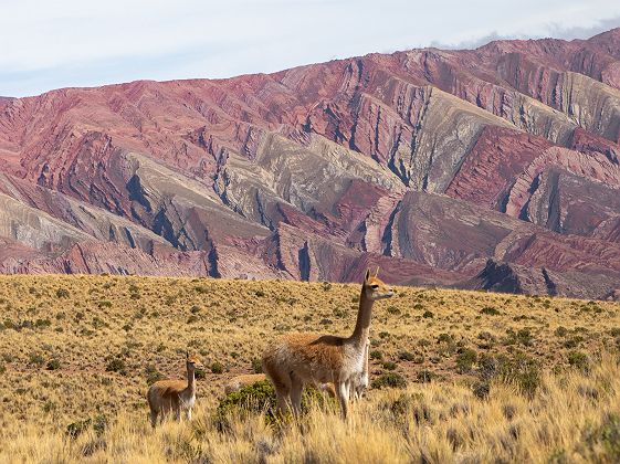 Humahuaca, Jujuy Province, Argentina