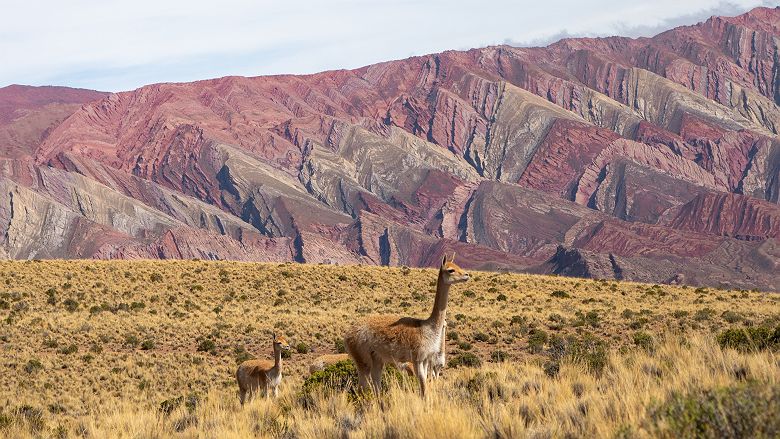 Humahuaca, Jujuy Province, Argentina