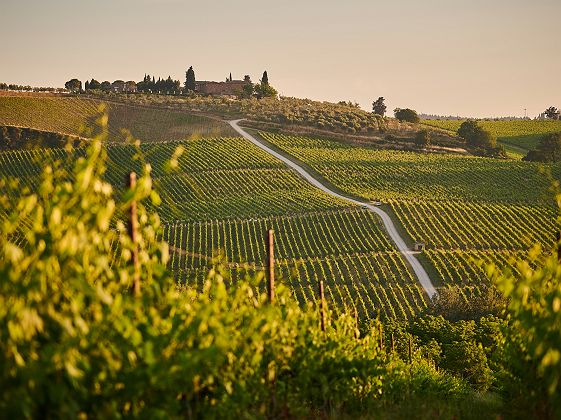 chianti