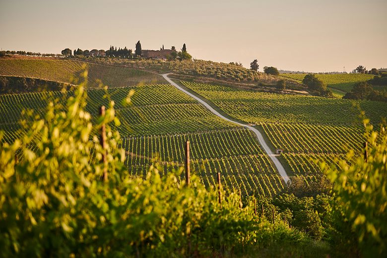 chianti
