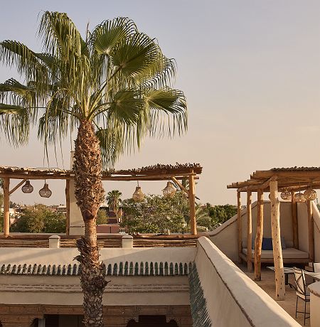 Nobu Riad