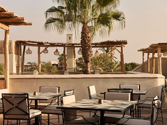 Nobu Riad