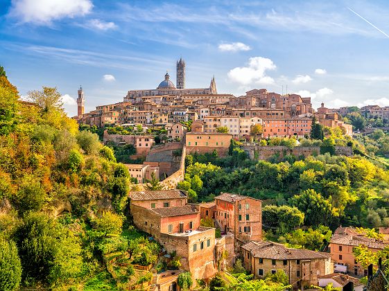 Vue sur Sienne et sa Cathédrale - Italie