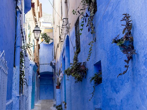Ruelles bleues de Chefchaouen - Maroc