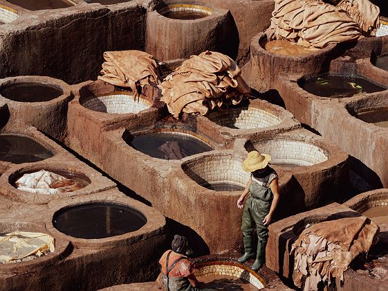Tanneries de cuir - Fès - Maroc