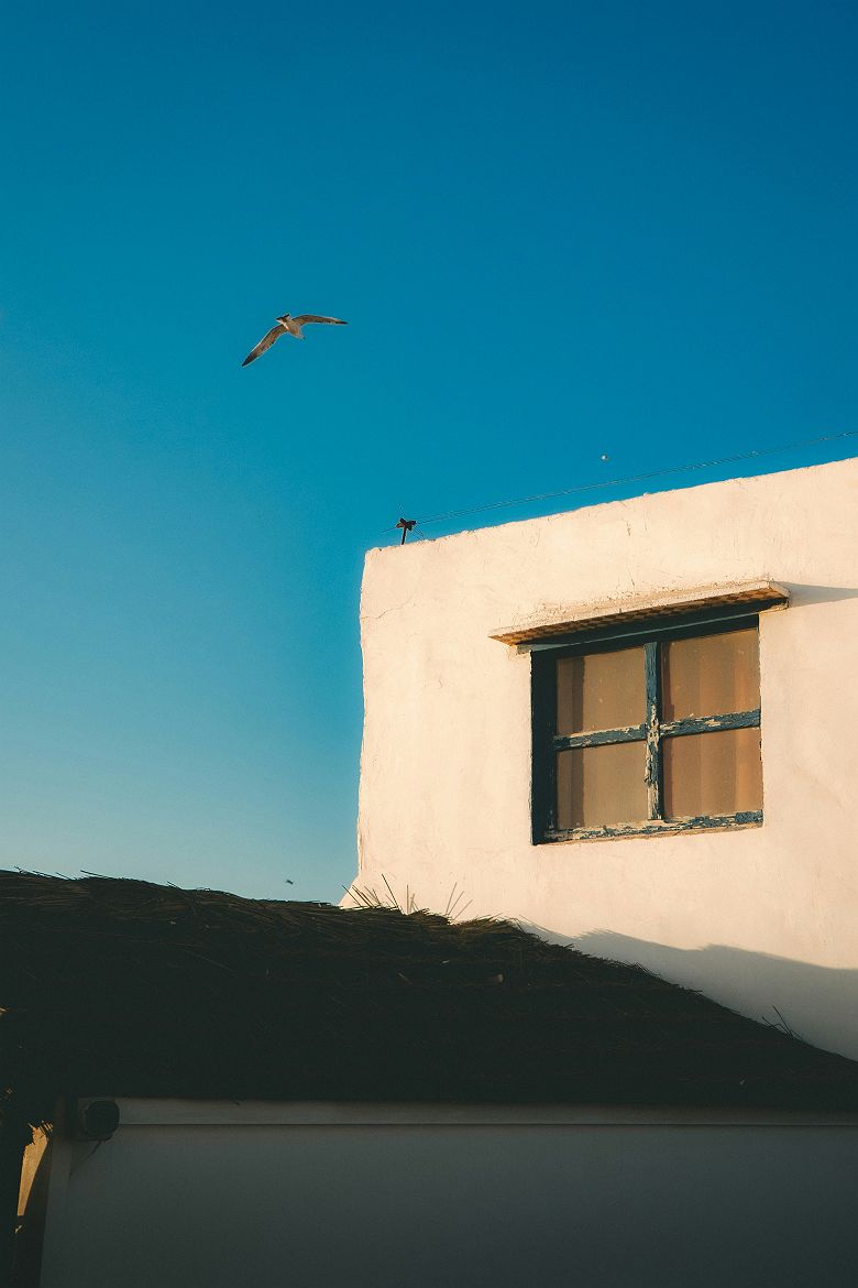 Vue sur les toits d'Essaouira - Maroc