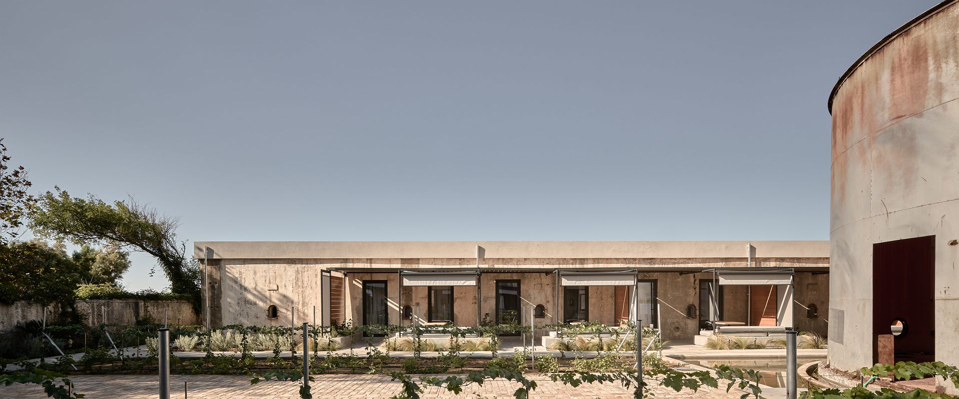 dexamenes seaside hotel   courtyard winetank suite   grece 